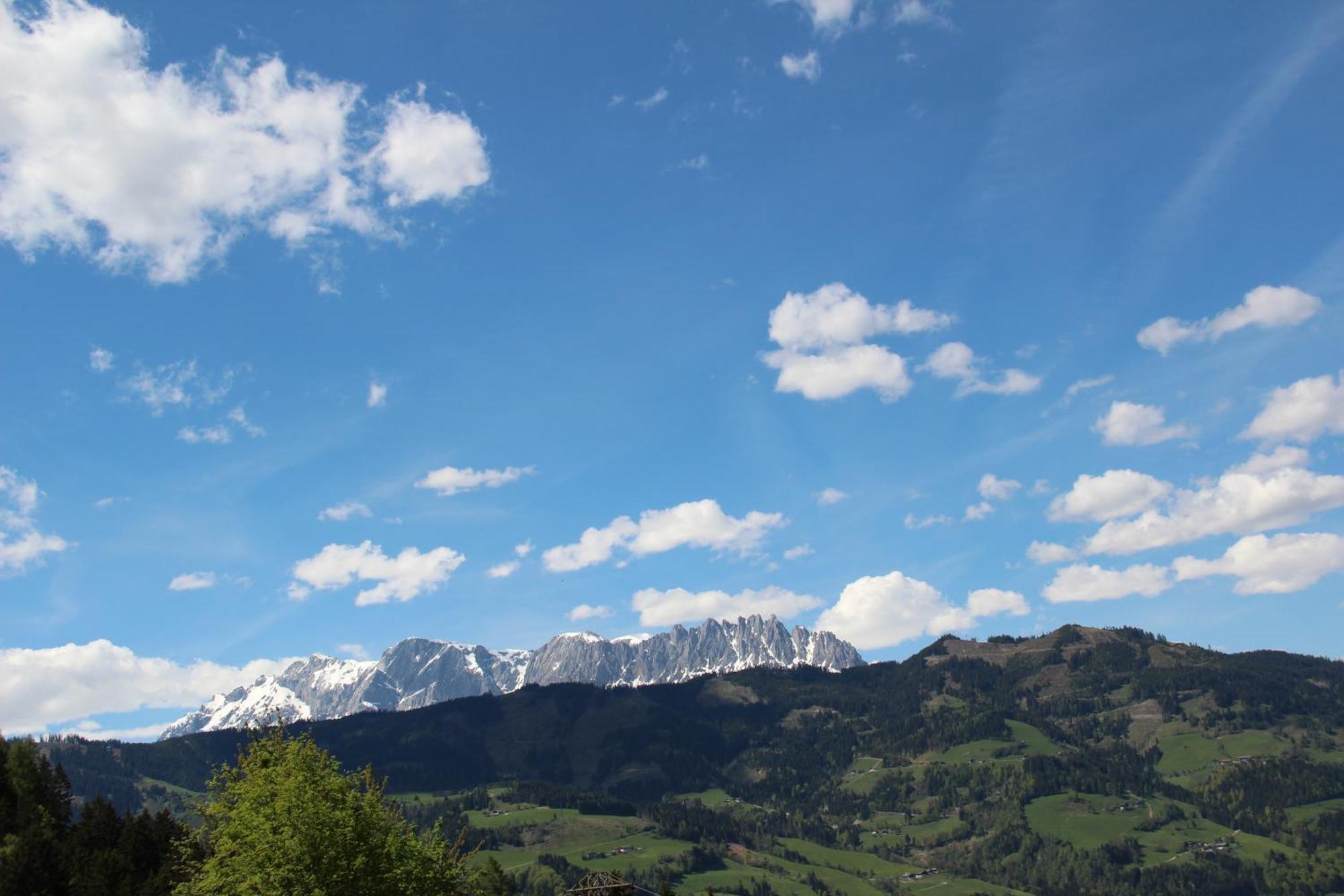 Holzlehenhof Apartment ซังค์โยฮันน์อิมพองเกา ภายนอก รูปภาพ